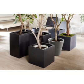 Cabinoche SUSTEE Watering Checker Susty, Set of 5, S Black