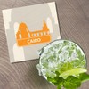 Unbranded Cairo National Landmark 4'' X 4'' Square Wooden Coaster