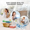 MeltingTabs Washing Machine Cleaner, 6-Pack, Unscented – Fresh Laundry and