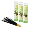 Ganesha 3 Pack Incienso Repelente De Mosquitos Con Citronela