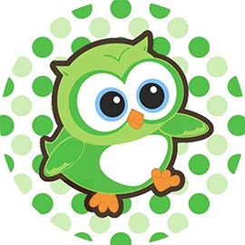 144 Adorable Owls - Themed Reward Stickers for Teachers or Parents - Size 30mm