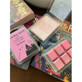 Hermione | Wizarding World | Bookish Wax Melts | Wizard Inspired