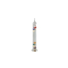 Scientific Crafts: Nature/Weather Galileo Thermometer