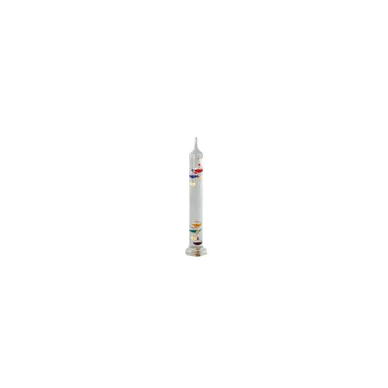 Scientific Crafts: Nature/Weather Galileo Thermometer