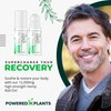 POWERED X PLANTS Hemp Oil Roll On - Menthol Rub