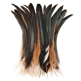 Colorful Rooster Tail Feathers-50PC 10-12inch Natural Long Rooster Tail Feathers Bulk (Natural)