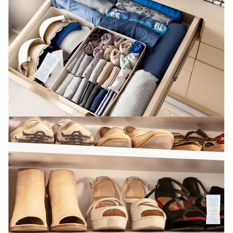 Wisesorb 5 Gram 1000 Pack Silica Gel Packets Color Indicating