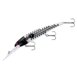 Bandit Walleye Deep-Black Koi