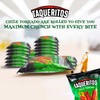 Taqueritos Rolled Tortilla Chips in Chile Toreado Flavor 8 oz,
