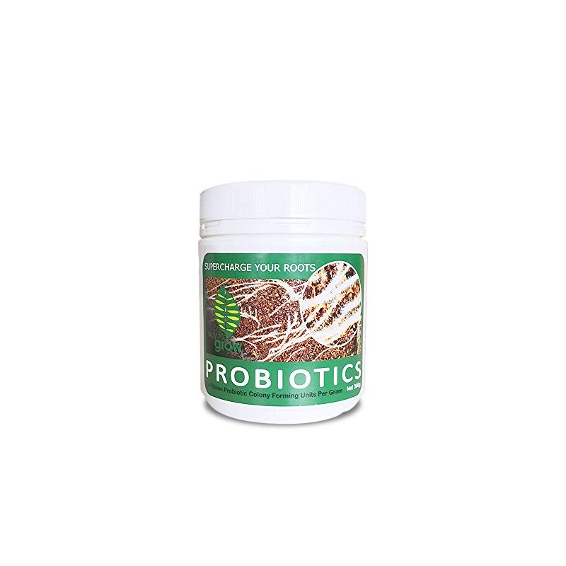 W2G Professional Probiotics - 300GM | Natural Hormones Trichoderma