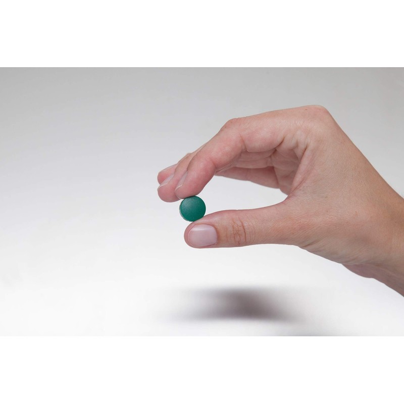 Maulsolid 6161555 Magnet Round Magnet Shatterproof Plastic 150 g Holding