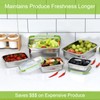 UPTRUST Stainless Steel Food Storage Containers | Leak Proof &