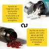 Upmer Pack Duo Magnesio Omega Bienesta