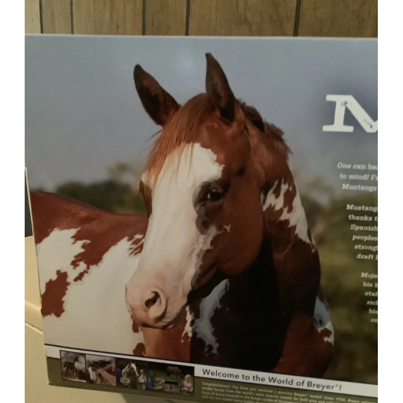 Breyer 2023 Mojave NIB