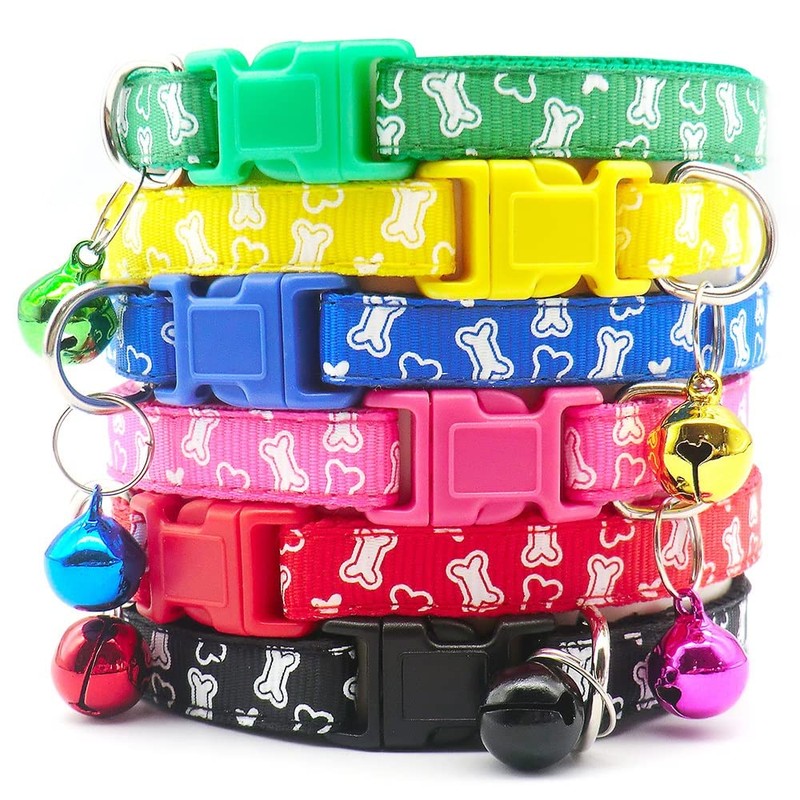 Doggie Style Store Small Dog Puppy Pet Collar and Lead