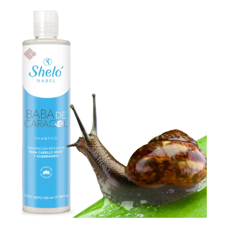 Shampoo Baba Caracol Cabello Seco Quebradizo 530ml