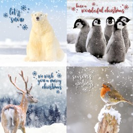 Emotional Rescue Christmas Cards Multi-pack, 12 Multi-pack Christmas Cards, 4 Different Designs, Pack of 12 Multi-pack Christmas Card, Animal Christmas Card Multi-pack, Christmas Cards Pack