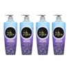 Elastine Silk Repair Conditioner Baby Powder Scent, 550ml, 4 Pieces / 엘라스틴 실크 리페어 컨디셔너 베이비 파우더향, 550ml, 4개