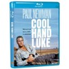 Cool Hand Luke