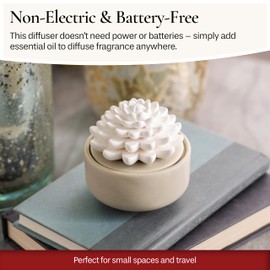 Airomé White Succulent, Porcelain Passive Essential Oil Diffuser (with 15ml Peppermint Essential Oil) – Non-Electric, Battery-Free, Improves Sleep, and Relieves Stress