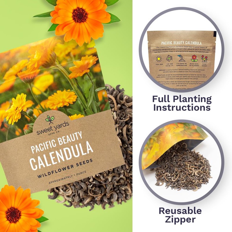 Calendula ‘Pacific Beauty Mix’ – Extra Large Packet – Over