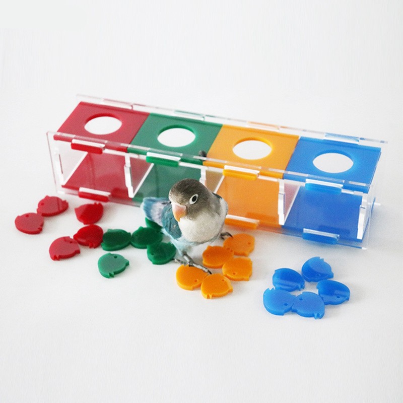 Parrot Color Separation Coin Box Educational Bird Treasure Desktop Interactive