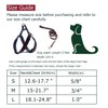 Elegant and Stylish Dog Harness and Leash,Durable Soft Neck and