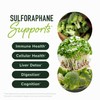 50MG Sulforaphane Supplement from Broccoli Sprouts | NRF2 Activation, Cellular