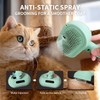Cat & Dog Steam Brush - 3 in 1 Self