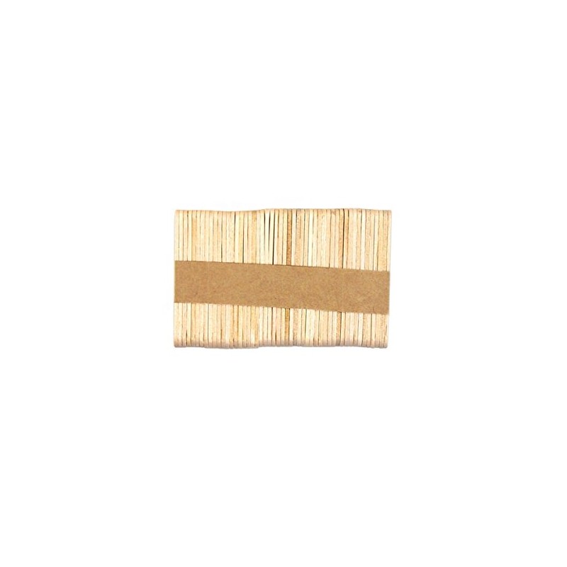 1000 Sticks, Mini Size Natural Wood Craft Popsicle Sticks 2.5