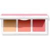 COVERGIRL Blush Palette Clean Fresh Vegan #105 Peachy Doll/Net Wt.