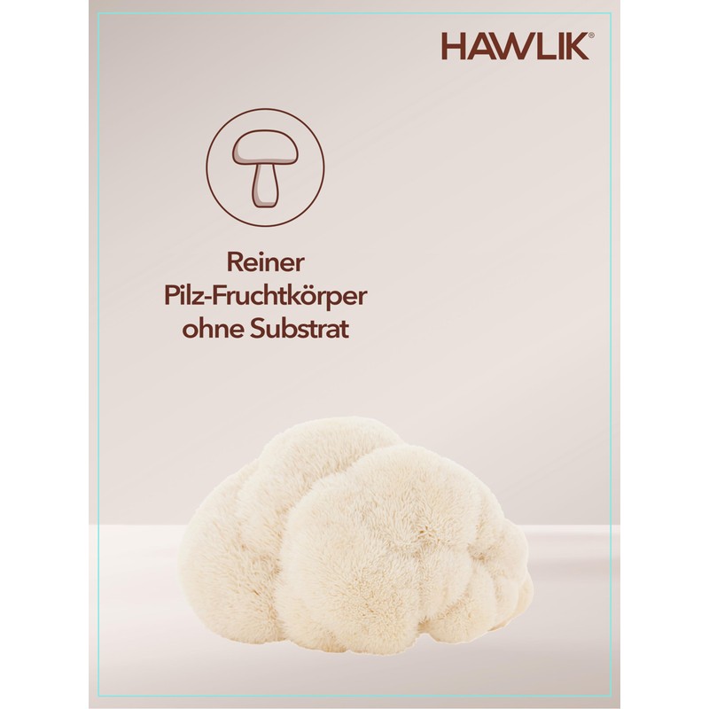 HAWLIK Vitalpilze Bio Hericium Pulver Kapseln - 120 Kapseln -