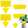 Qualirey 100 Pcs Dual Sided Fruit Fly Traps - Indoor