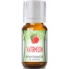 Good Essential 10ml Oils - Watermelon Fragrance Oil - 0.33