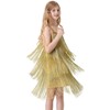 Cuecutie Kids Sequin Fringe Dress Sparkling Tassel Sleeveless Latin Dance