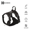 SMALL COMBINATION Reflective Dog Harness with Handle, Adjustable Straps, Padded