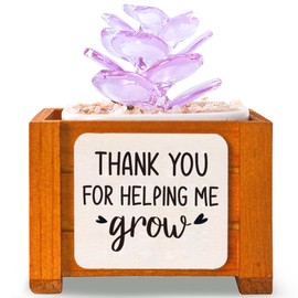 Purple Crystal Succulent Potted Glass Flowers Ornament Emotional Support Plant for Women,Thank You for Helping Me Grow Gift Appreciation Gifts Thank You Gifts for Teachers Mentor Supervisor