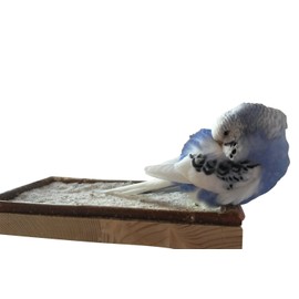 Large Perch for Birds' Cages