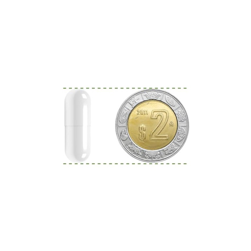 BIO B Zinc 20 Plus 90 Cápsulas Veganas