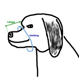 Metal Muzzle for the Shepherd Dog Length 11 cm Circumference 32 cm