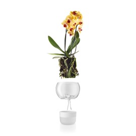 Eva Solo | Orchid Pot | Ø15cm Self-Watering Orchid Pot | Keeps Indoor House Plants, Flowers, Herbs & Vegetables Watered & Healthy | Danish Design, Functionality & Quality | Frosted Glass