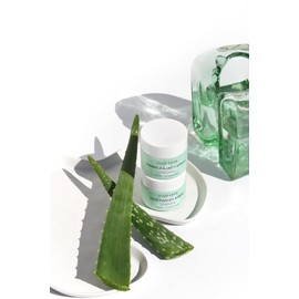 ALOESOVE feuchtigkeitscreme Gesicht 50ml - Tagescreme für alle Hauttypen - Gesichtscreme Vegan, Anti-Aging, ideal unter Make-up