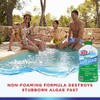 HTH 67032 Super Algae Guard Swimming Pool Algaecide Cleanser, 1
