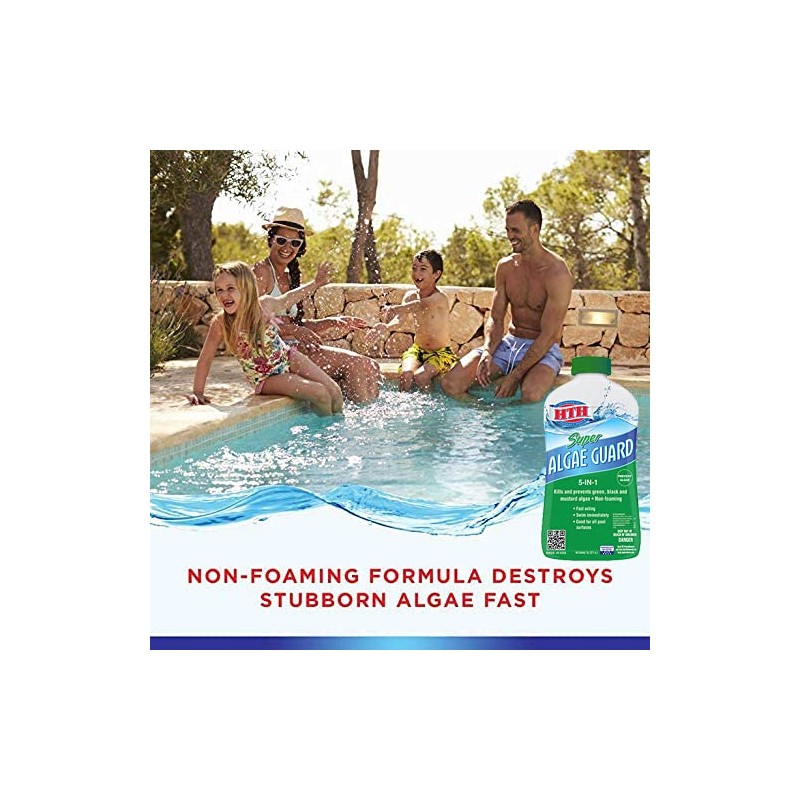 HTH 67032 Super Algae Guard Swimming Pool Algaecide Cleanser, 1