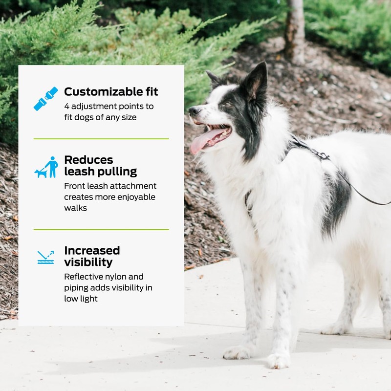 Premier Pet No Pull Comfort Harness - Reduces Pulling for