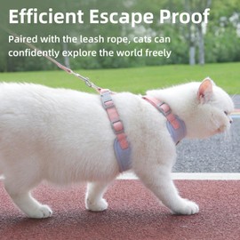 Generic Escape-Proof Cat Harness and Leash Set - Adjustable and Comfortable - Ideal for Walking Cat Outdoors - Fits Kittens, Medium, and Large Cats (Beige, S)