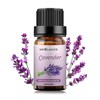 Sedbuwza Lavender Essential Oil, Pure Organic Lavender Fragrance Oil for