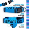 Native Pup Service Dog Collars (Small, Blue)