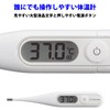 Terumo Electronic Thermometer (Full Temperature Measurement & Washable in Approx.