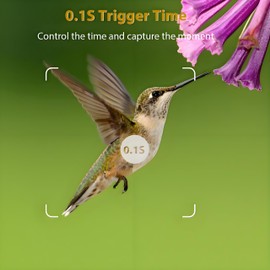 BlazeVideo 4K Wildlife Camera, 100 Feet Night Vision, 0.1 Second Trigger Waterproof (Green)